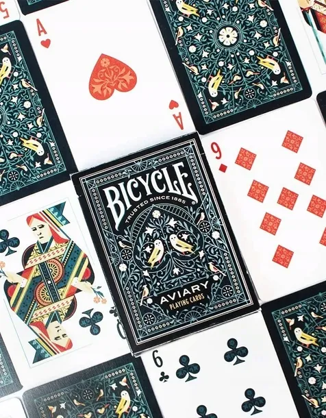 karty-bicycle-tiny-aviary-nazwa-bicycle