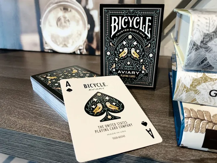 karty-bicycle-tiny-aviary-stan-nowy-nazwa-bicycle