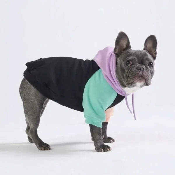 spark-paws-bluza-z-kapturem-dla-psa-s-rodzaj-bluza