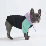 spark-paws-bluza-z-kapturem-dla-psa-s-rodzaj-bluza