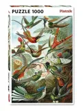 puzzle-haeckel-kolibry-piatnik