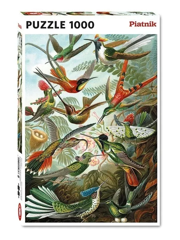 puzzle-haeckel-kolibry-piatnik
