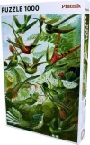 puzzle-haeckel-kolibry-piatnik-marka-piatnik