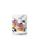 patisse-forma-na-24-mini-muffinki-28cm-classique-stan-nowy