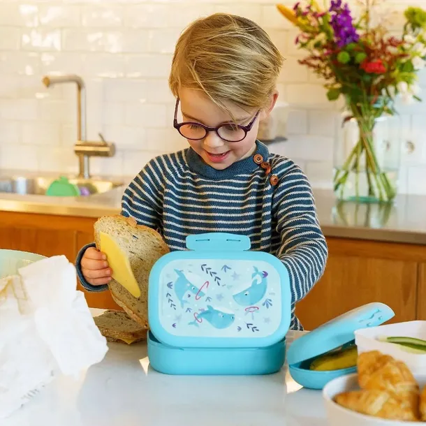 amuse-lunchbox-do-szkoly-clip-wieloryb-rodzaj-sniadaniowka