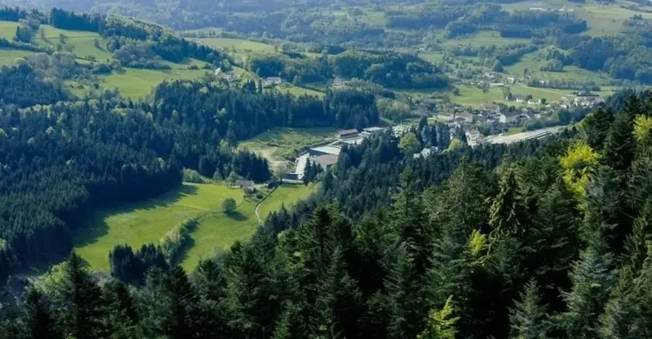 zestaw-do-stekow-stan-nowy-rodzaj-tradycyjna