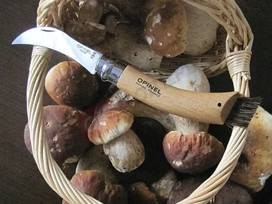 noz-opinel-8-na-grzyby-dlugosc-rekojesci-11-3-cm