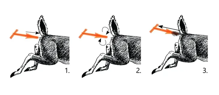 swiderek-realhunter-kod-producenta-258-047