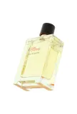 hermes-terre-dhermes-edt-100-ml-flakon-pojemnosc-opakowania-100-ml