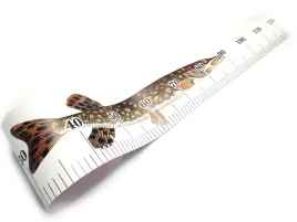 naklejka-miarka-ryb-wedkarska-lodz-120cm-szczupak