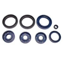 komplet-uszczelniaczy-silnikowych-do-aprilia-af1-125-futura-af1-125-sintes