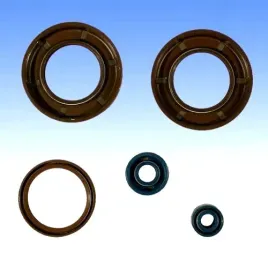 komplet-uszczelniaczy-silnikowych-do-husaberg-sm-570-r-smr-630-seel-repli