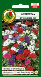 werbena-zwieszajaca-sie-02g-mieszanka-kolorow-nasiona-pnos