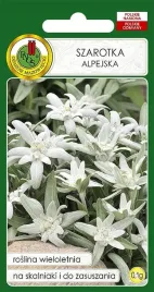 szarotka-alpejska-01g-wieloletnia-na-skalniaki-na-rabaty-nasiona-pnos
