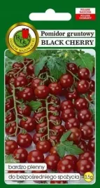 pomidor-black-cherry-05g-gruntowy-koktajlowy-plenny-odporny-czarny-pnos