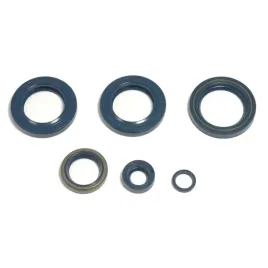 komplet-uszczelniaczy-silnikowych-do-ktm-egs-400-lc4-egs-e-400-lc4-lc4-40