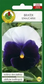 bratek-lord-beaconsfield-fioletowo-bialy-08-g-dlugo-kwitnie-nasiona-pnos