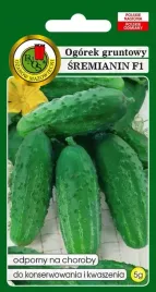 ogorek-gruntowy-sremianin-f1-5-g-plenny-odporny-urodzajny-nasiona-pnos