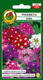 werbena-niska-mieszana-mix-dlugo-kwitnie-05g-nasiona-pnos
