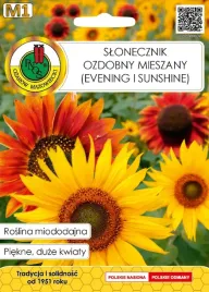 slonecznik-ozdobny-evening-sunshine-15-g-roslina-miododajna-nasiona-pnos