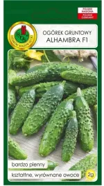ogorek-gruntowy-alhambra-f1-wczesny-2g-plenny-odporny-nasiona-pnos