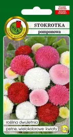 stokrotka-pomponowa-pomponette-mieszana-02g-miododajna-nasiona-pnos