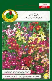 lnica-marokanska-mieszana-na-rabaty-i-do-pojemnikow-nasiona-pnos