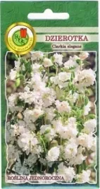 dzierotka-klarkia-1g-biala-na-skalniaki-na-rabaty-nasiona-pnos