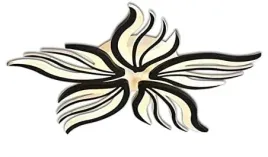 lampa-sufitowa-led-plafon-led-kwiat-czarny-44w-3000k-6000k-pilot