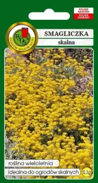 smagliczka-skalna-zolta-03-g-na-skalniak-miododajna-nasiona-pnos