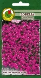 lobelia-rosamunda-rozowa-jednoroczna-dlugo-kwitnie-02g-nasiona-pnos
