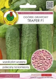 ogorek-gruntowy-traper-f1-5g-zaprawiony-plenny-odporny-nasiona-pnos