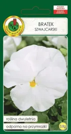 bratek-szwajcarski-kremowo-bialy-08g-dlugo-kwitnacy-nasiona-pnos