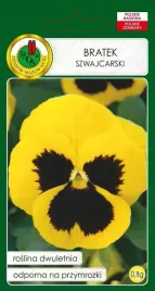 pnos-bratek-szwajcarski-zolty-z-plama-08g-dlugo-kwitnacy-nasiona-pnos