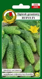 ogorek-gruntowy-rufus-f1-5g-plenny-odporny-na-choroby-nasiona-pnos