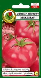 pomidor-gruntowy-maliniak-malinowy-plenny-odporny-na-choroby-nasiona-pnos