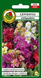 lewkonia-wielopedowa-0-5-g-mieszanka-na-niskie-rabaty-nasiona-pnos