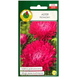 aster-peoniowy-rozowopurpurowy-08-g-pelny-dubeltowy-nasiona-pnos