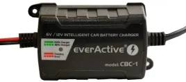 everactive-ladowarka-prostownik-do-lodzi-motocykla-samochodzika-cbc-1-1a