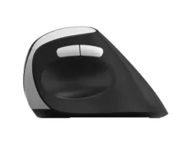 rapoo-ev250-myszka-biuro-po-prawej-stronie-rf-wireless-optyczny-1600-dpi