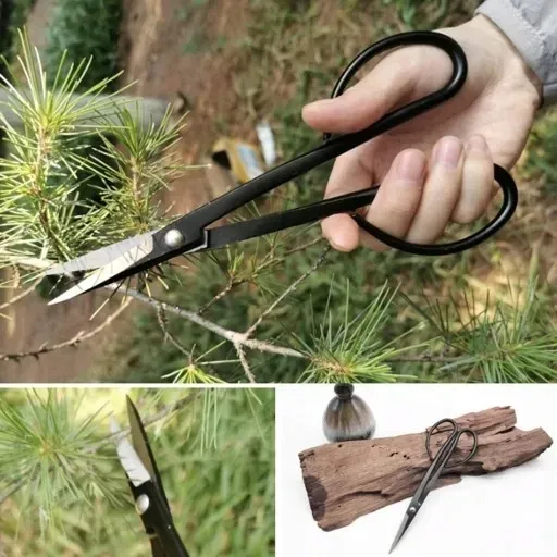 zestaw-narzedzi-do-bonsai