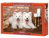 puzzle-psy-1000-elementow-samoyed-puppies-say-hello-stan-nowy