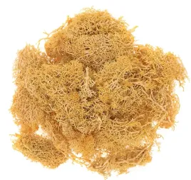 mech-dekoracyjny-reniferowy-ochrowy-30g-dpza-135-sianko