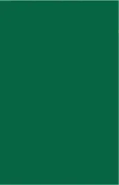 brystol-karton-a4-170g-25-ark-21x297-cm-c-zielony