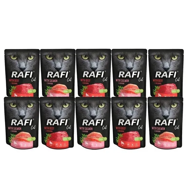 DOLINA NOTECI RAFI DLA KOT MIX KARMA MOKRA 10X300G