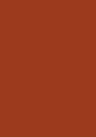 brystol-karton-a4-170g-25-ark-21x297-cm-brazowy