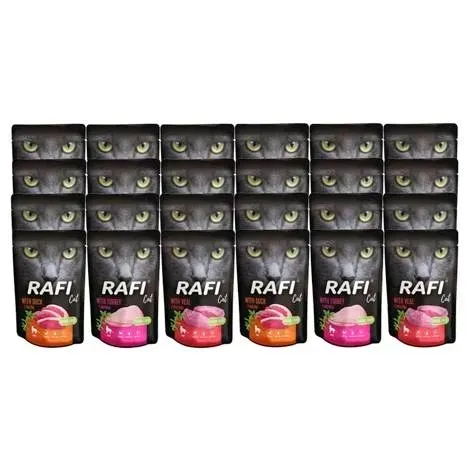 DOLINA NOTECI RAFI DLA KOTA MIX SASZETKA 40X100G