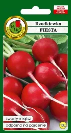 cebula-majka-bardzo-plenna-wysoko-plonujaca-odporna-nasiona-pnos