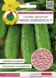 ogorek-gruntowy-hermes-skierniewicki-zaprawiany-wczesny-nasiona-pnos