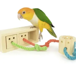 3-pudelka-rozmaitosci-zabawka-logiczna-dla-papug